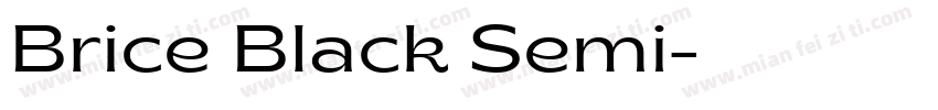 Brice Black Semi字体转换